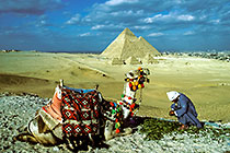 Man preparing tea nearby camel in front of pyramids