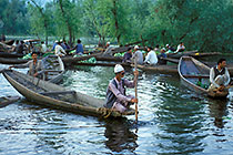 People on shikara at vegetable market before sunrise