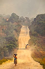 Woman & truck on trail through tropical forest