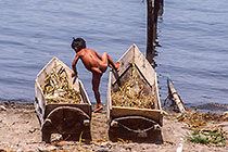 Naked young boy on small boats