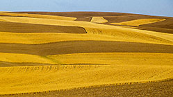 Mosaic of wheat, soil & green fields