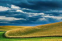 Before the Storm
