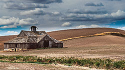 Old barn in wheat fields & clouds