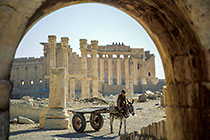 donkey boy cart in arcad in front of temple