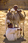 Donkey Boys
