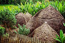 Honey Huts