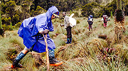 Petra w blue pancho walking on wet grass
