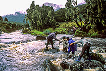 Petra & porters crossing the Bujuku river