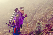 Paul in mist