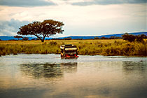 landy(F) crossing river + acacia tree under stormy sky & clouds
