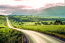 On The Road