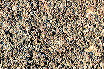 shells on wave braker