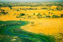 river curves in green & dry grass savana