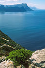 green trees & bushes on cliff + False bay + Buffelstalberg