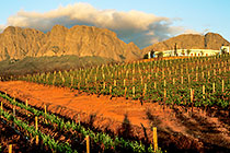 vineyards & wine cellar on hill slope + Hottentots-Holland + clouds at sunset