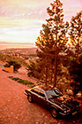 Jaguar XJS in drive way + pine trees + False bay at sunset