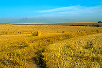 wheat blocks in fields + mts in haze