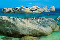fish fillet drying on rocks + sea