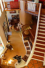Cocagne house : stairs to mezzanine