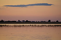 Zambezi river at sunset