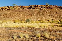 landscape with rocks