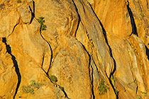 rocks