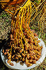 dates