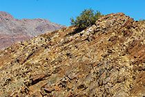 landscape with mountains