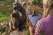 baboon matters