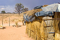bushman house after rain storm