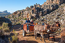 people in donkey cart on mountain road