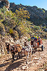 people in donkey cart on mountain road