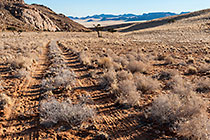 Follow the track...