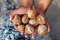 hands holding nama truffles near fire