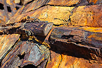 Aristea ship wreck on beach : rust details