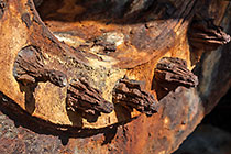 Aristea Shipwreck