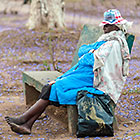 old lady sitting on bench in park