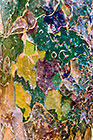 Tree Bark