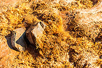 brown water in river