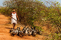woman with ducks