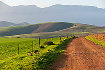 farm fields