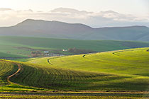farm fields