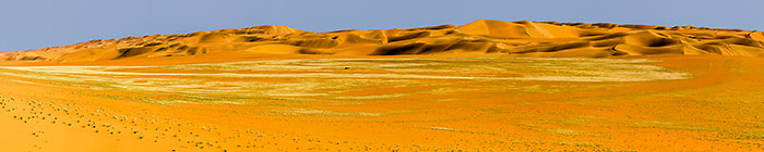 green desert | sand dunes