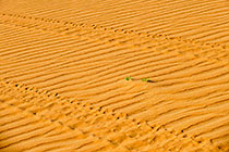 tracks on sand