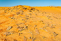 solid sand sculptures