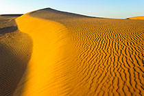 sand dunes