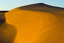 sand dunes