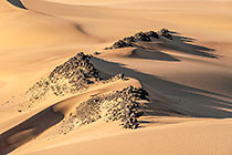black rocks on sand dunes