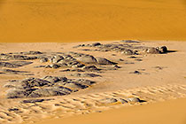 vlei w rocks
