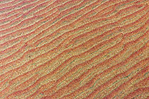Bronze Patterns